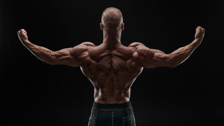 Bodybuilder