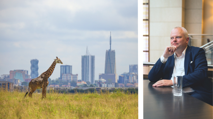 Eine Giraffe steht vor den Toren der kenianischen Hauptstadt Nairobi im goldenen Gras / Prof. Dr. Stefan Liebing 