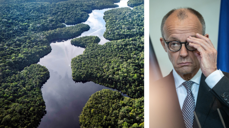 Der Fluss Curua im Amazonas