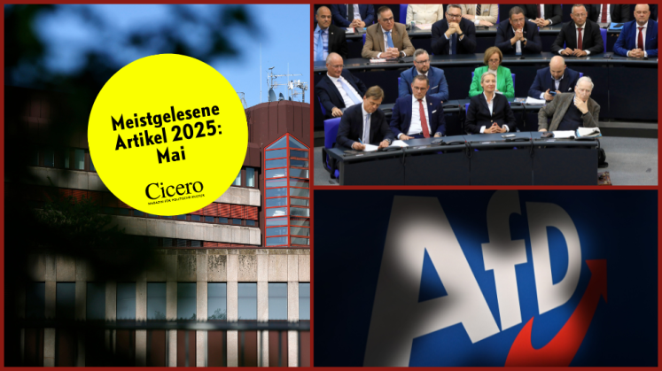 Verfassungschutz, AfD-Bundestagsfraktion, Partei-Logo / picture alliance / Panama Pictures | Christoph Hardt; Geisler-Fotopress | Matthias Wehnert/Geisler-Fotopress