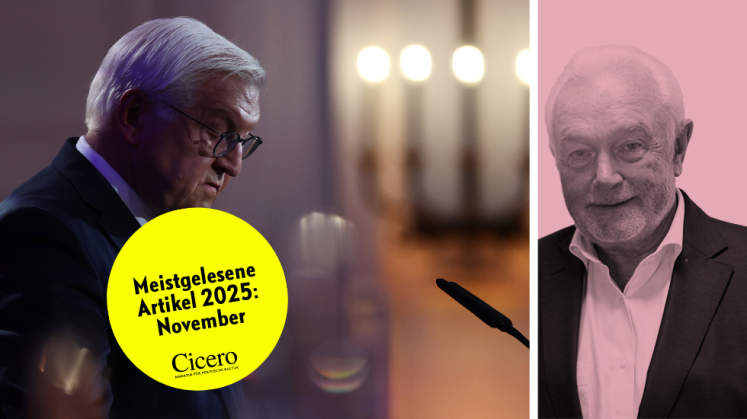 Bundespräsident Frank-Walter Steinmeier während seiner diesjährigen Rede zum 9. November in Schloss Bellevue