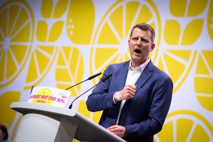 Henning Höne, FDP
