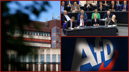 Verfassungschutz, AfD-Bundestagsfraktion, Partei-Logo / picture alliance / Panama Pictures | Christoph Hardt; Geisler-Fotopress | Matthias Wehnert/Geisler-Fotopress