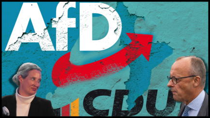 AfD Merz