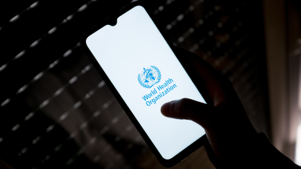 Weltgesundheitsorganisation (WHO)