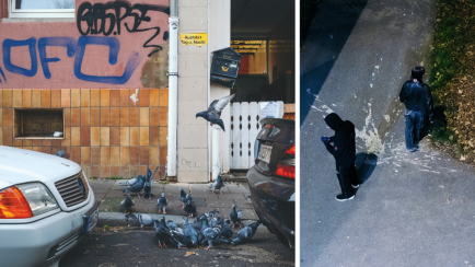 Chroniken des Niedergangs