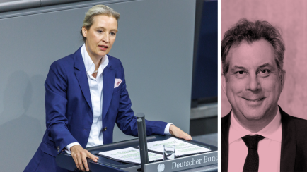 Alice Weidel