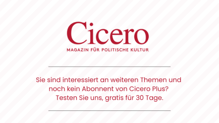 Dieses Bild ist leider nicht mehr verfügbar