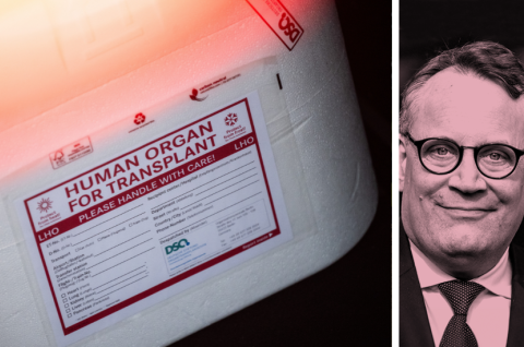 Eine Kühlbox für eine Organspende steht in einem Transporter des Deutschen Roten Kreuzes