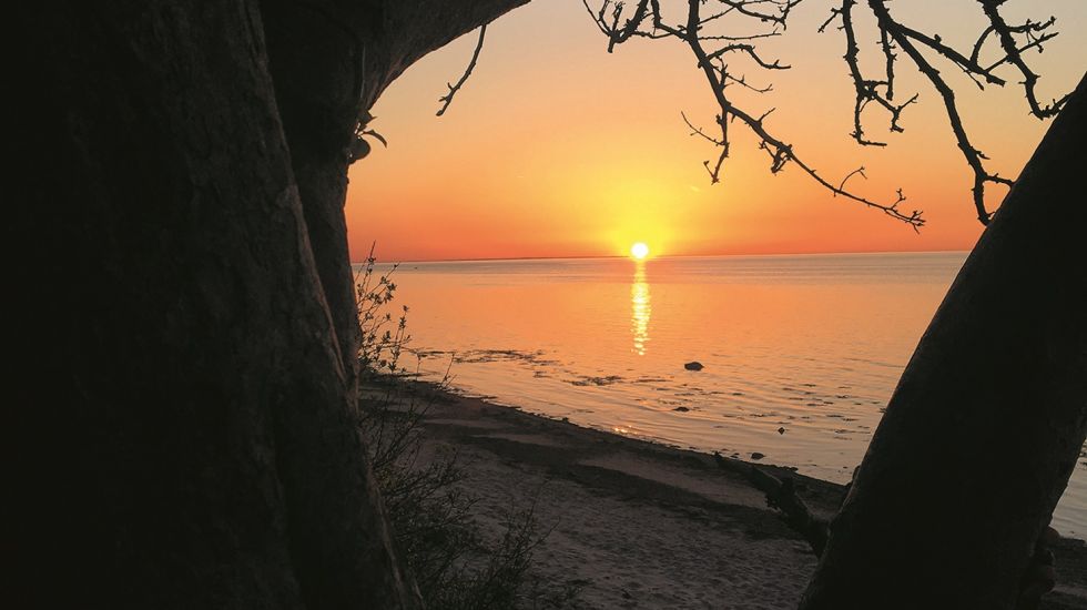 urlaub-angeln-poel-reise-deutschland