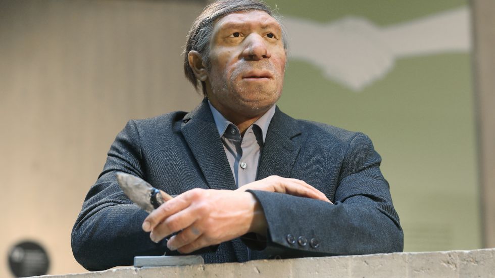Neandertaler
