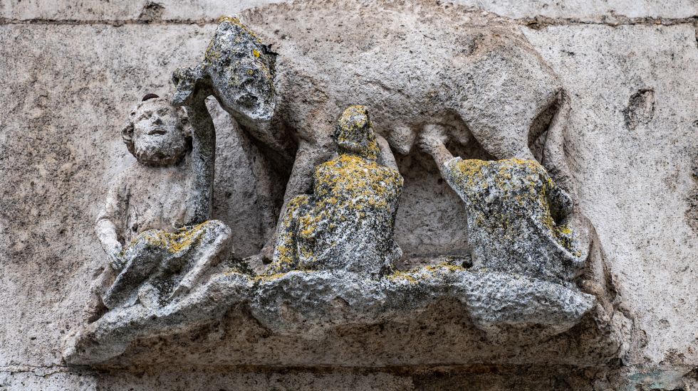 Judensau am Regensburger Dom 