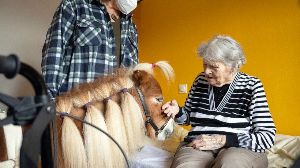 Eine Bewohnerin streichelt in der Pflegeeinrichtung Bürgermeister-Gräf-Haus das Shetland-Pony Paulinchen.