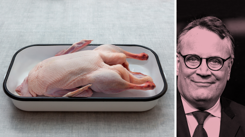 Sollen-wir-auf-den-Weihnachtsbraten-verzichten-Ente-brutal