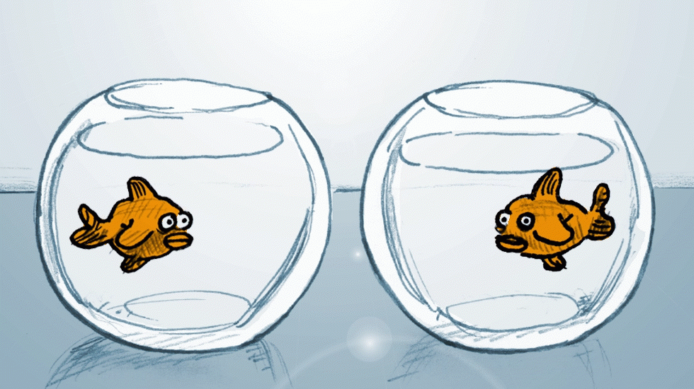 Diskussion-ber-suicidal-empathy-Wenn-Empathie-zur-Selbstzerst-rung-f-hrt